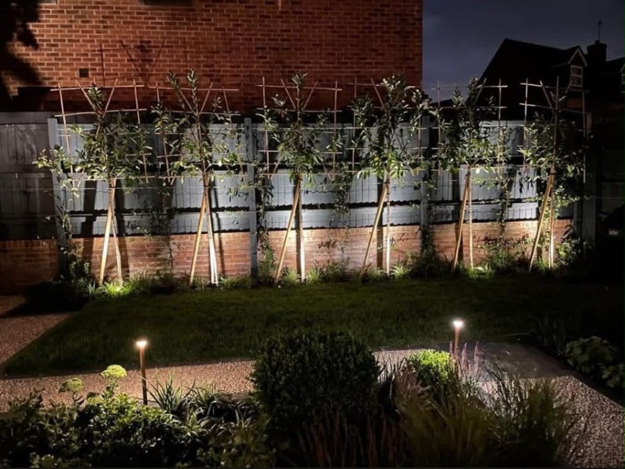 Finished garden planting and pathways illuminated at night